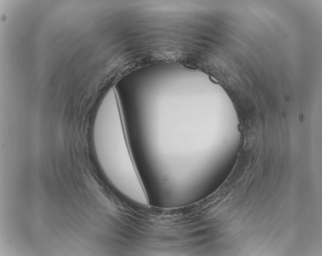 X0000089400647200706150916