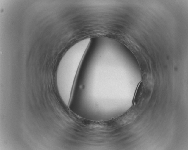 X0000089400655200706150916