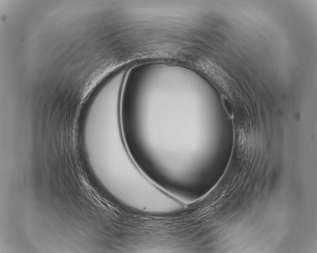X0000089400676200706150915