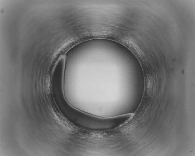 X0000089400684200706150915