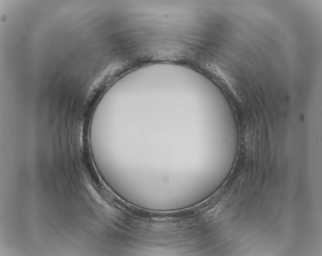 X0000089400686200706150915