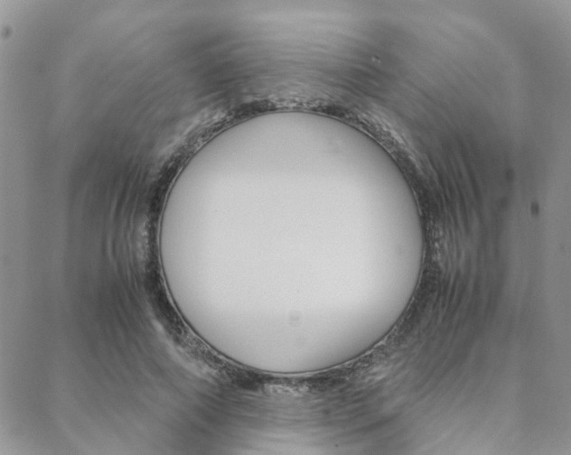 X0000089400690200706150915