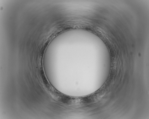 X0000089400695200706150915