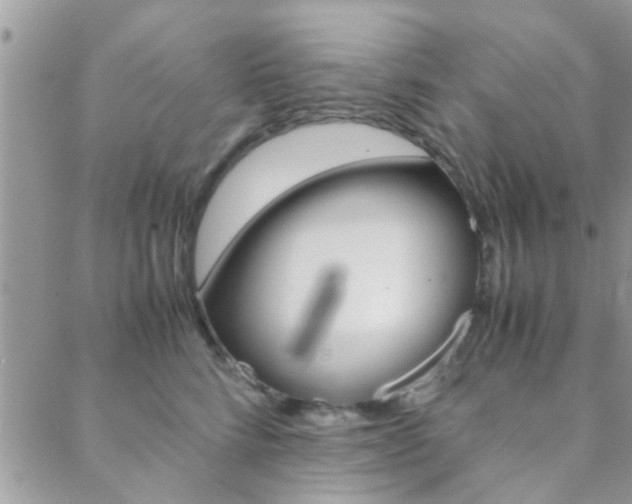 X0000089400712200706150915
