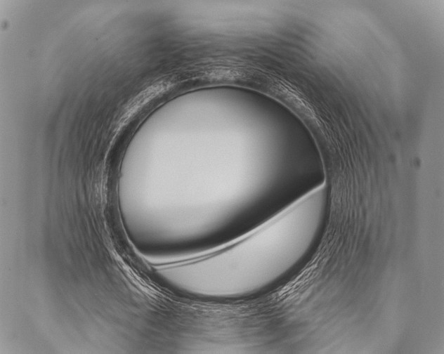 X0000089400722200706150914