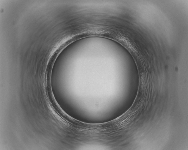X0000089400726200706150914