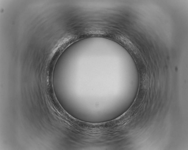 X0000089400731200706150914