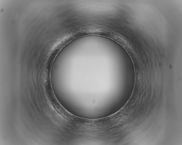 X0000089400732200706150914