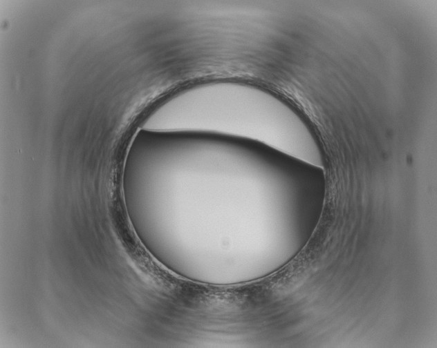 X0000089400736200706150914