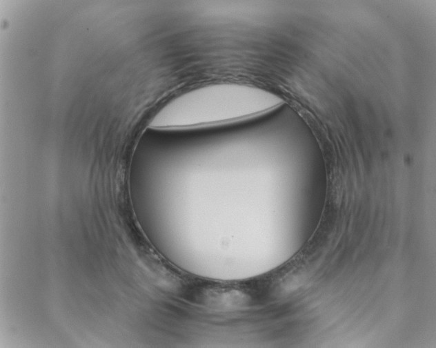 X0000089400747200706150914