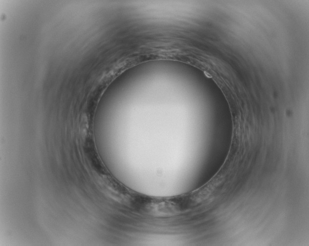 X0000089400752200706150914