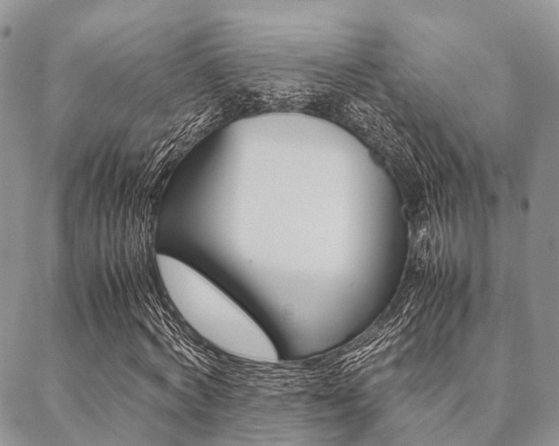 X0000089400772200706150914