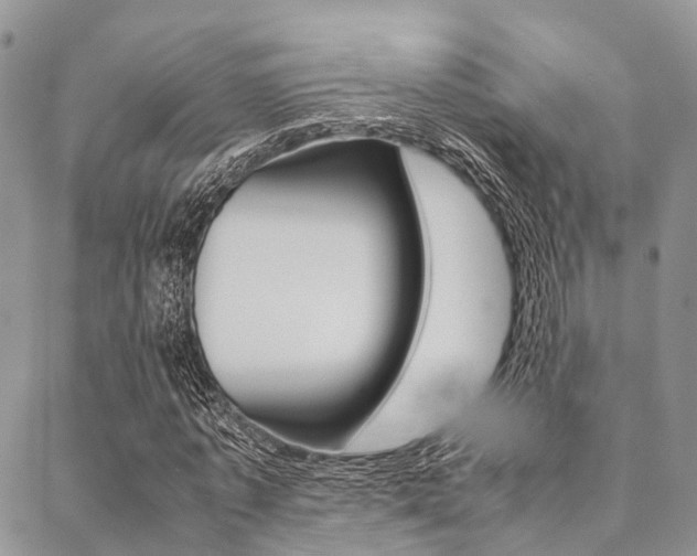X0000089400773200706150914
