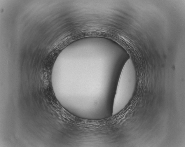 X0000089400774200706150914