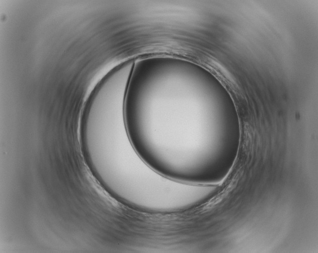X0000089400788200706150913