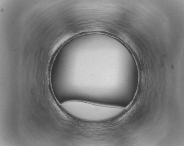 X0000089400789200706150913