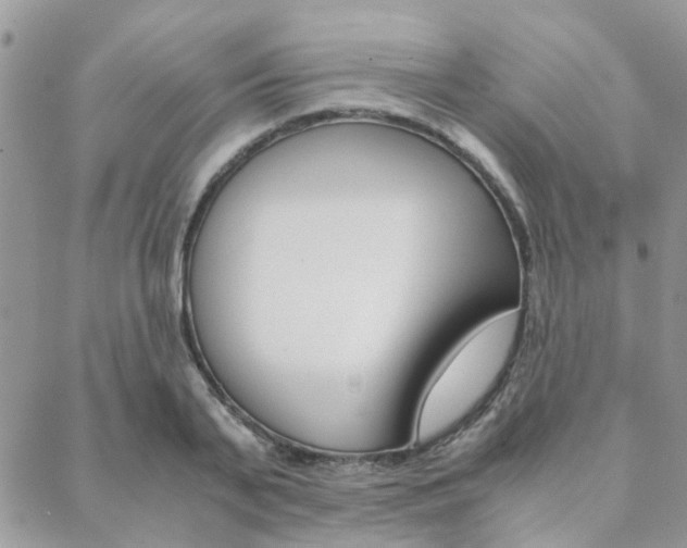 X0000089400791200706150913