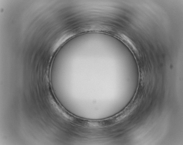 X0000089400794200706150913