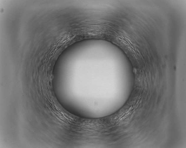X0000089400817200706150912