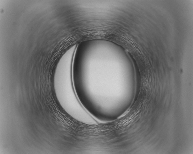 X0000089400818200706150912