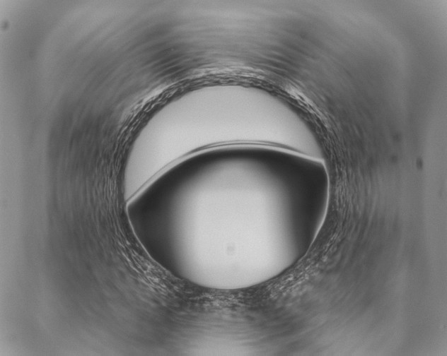 X0000089400822200706150912