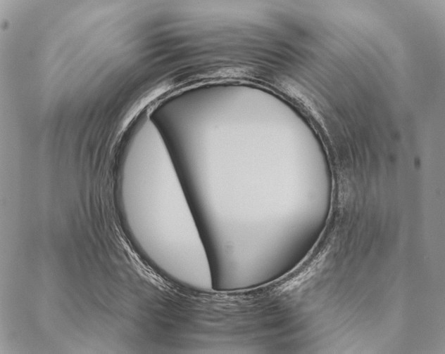 X0000089400827200706150912