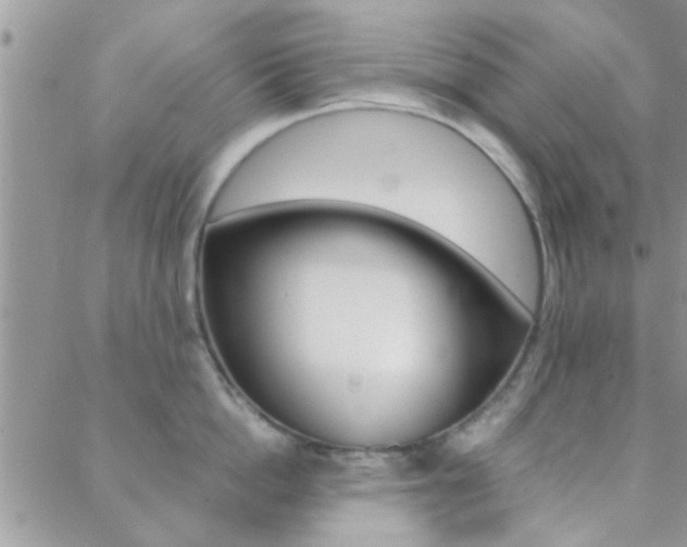 X0000089400862200706150913