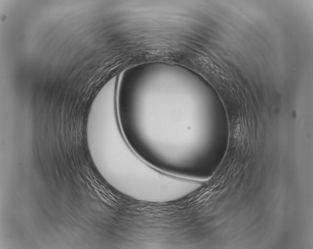 X0000089400868200706150912