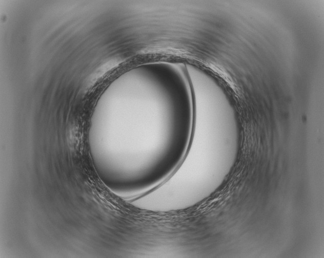 X0000089400872200706150912