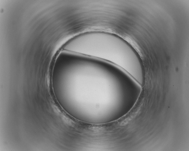 X0000089400888200706150912