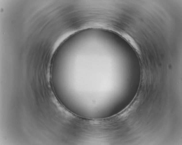 X0000089400904200706150911