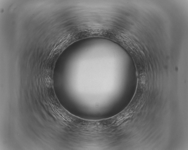 X0000089400916200706150911