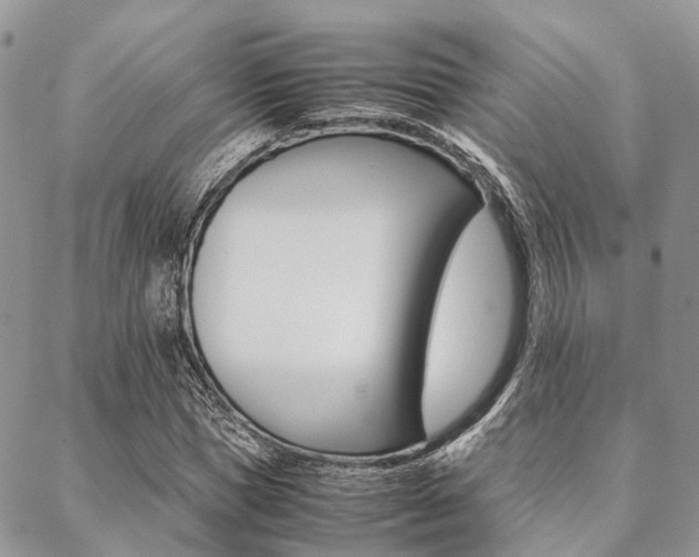 X0000089400921200706150911
