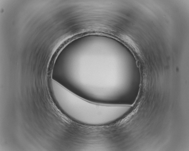 X0000089400924200706150911