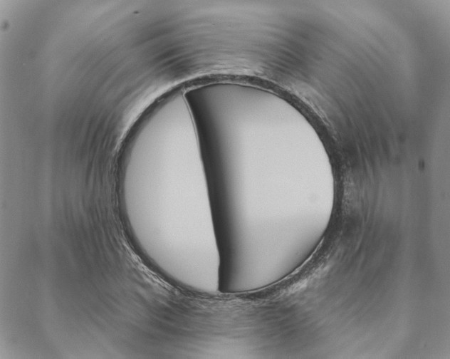 X0000089400926200706150911