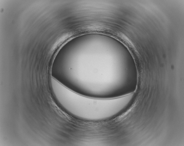 X0000089400930200706150911