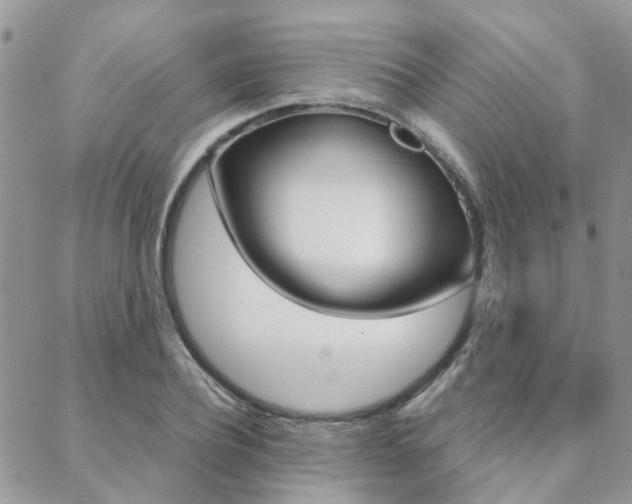 X0000089400932200706150911