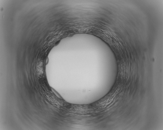 X0000089400962200706150910