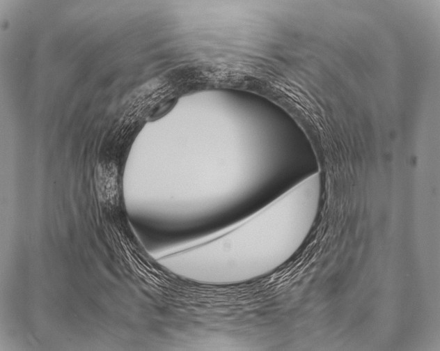 X0000089400963200706150910
