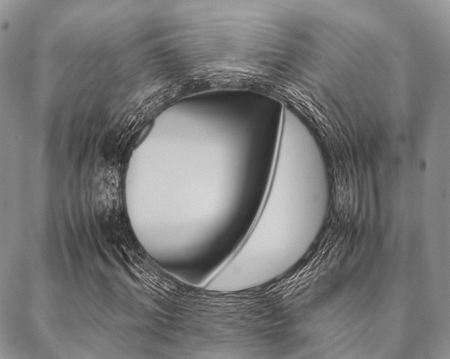 X0000089400964200706150910