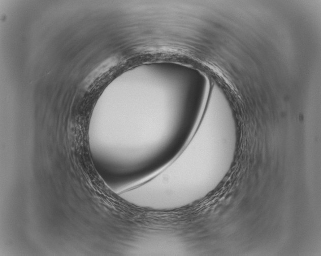 X0000089400967200706150910