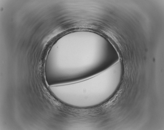 X0000089400971200706150910