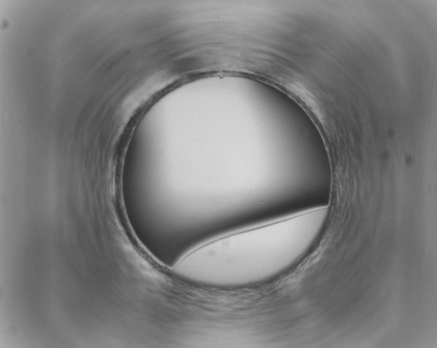 X0000089400987200706150910