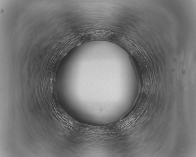 X0000089401010200706150909