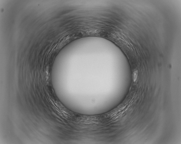 X0000089401011200706150909