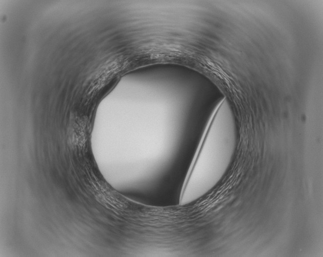 X0000089401012200706150909