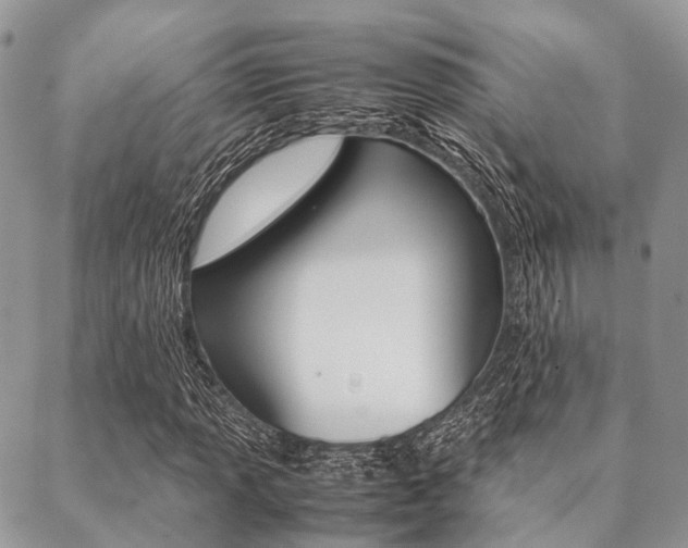 X0000089401013200706150909