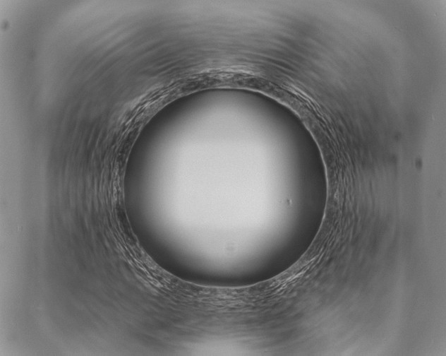 X0000089401014200706150909