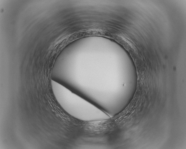 X0000089401015200706150909