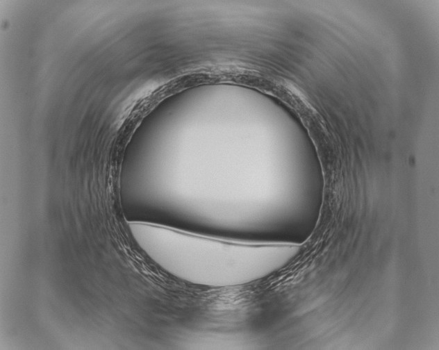 X0000089401016200706150909